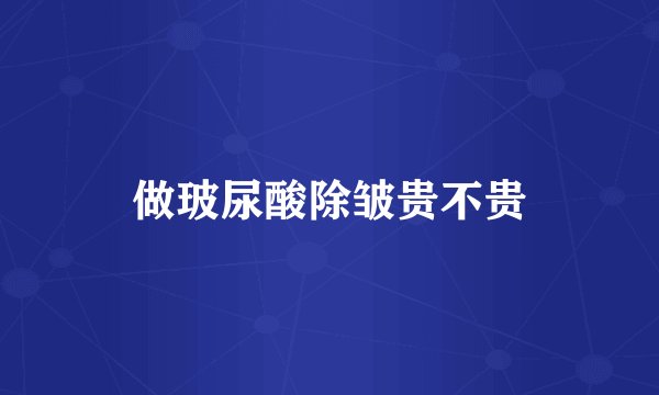 做玻尿酸除皱贵不贵