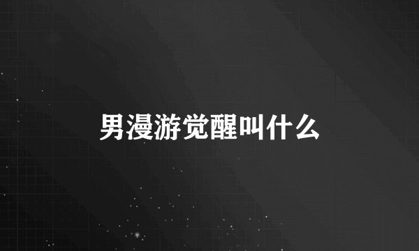 男漫游觉醒叫什么