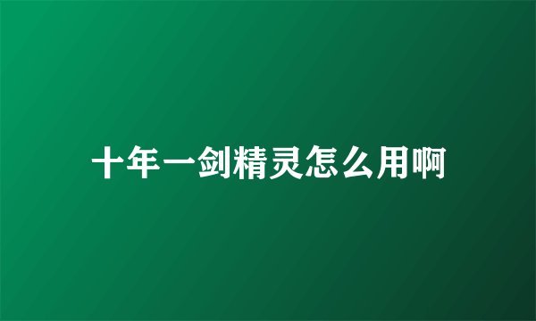 十年一剑精灵怎么用啊