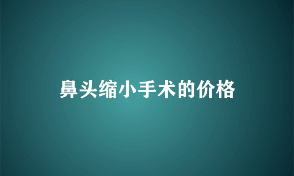 鼻头缩小手术的价格