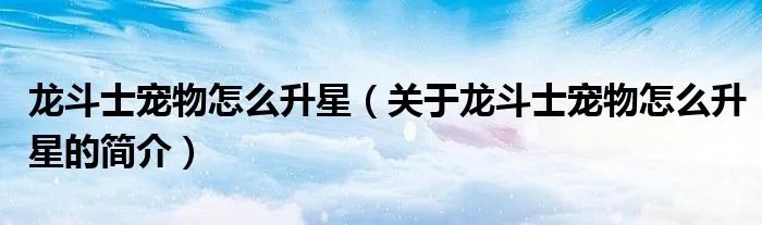 龙斗士宠物怎么升星（关于龙斗士宠物怎么升星的简介）