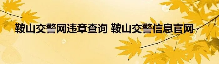 鞍山交警网违章查询 鞍山交警信息官网