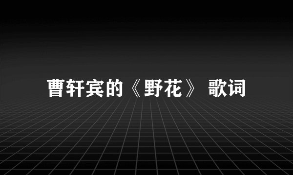 曹轩宾的《野花》 歌词