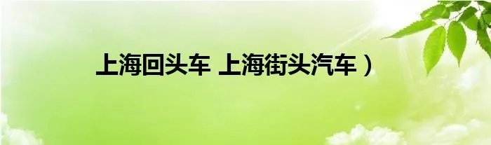 上海回头车 上海街头汽车）