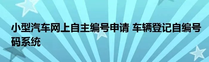 小型汽车网上自主编号申请 车辆登记自编号码系统