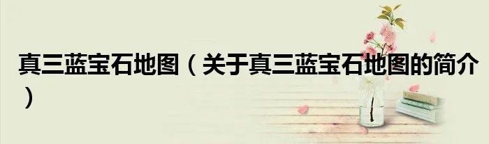 真三蓝宝石地图(关于真三蓝宝石地图的简介)
