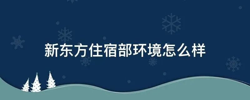 新东方住宿部环境怎么样