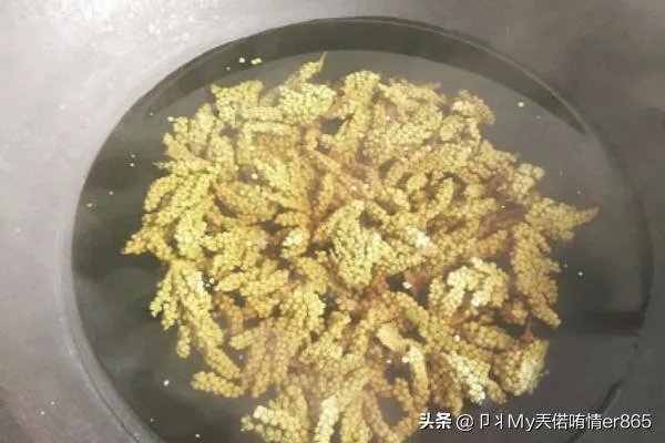棕树花苞吃法大全