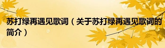 苏打绿再遇见歌词（关于苏打绿再遇见歌词的简介）