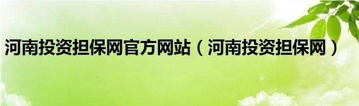 河南投资担保网官方网站（河南投资担保网）