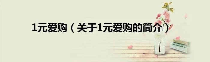 1元爱购(关于1元爱购的简介)