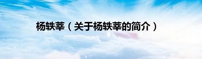 杨轶莘（关于杨轶莘的简介）