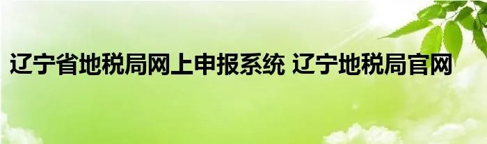 辽宁省地税局网上申报系统 辽宁地税局官网