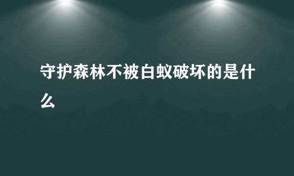骨折补钙吃什么呢