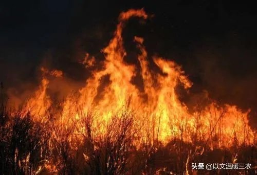 西昌山火为什么会死这么多人？
