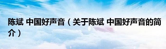 陈斌 中国好声音（关于陈斌 中国好声音的简介）