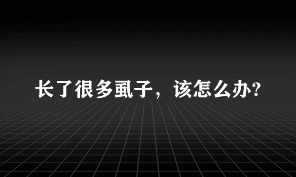 长了很多虱子，该怎么办?