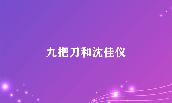 九把刀和沈佳仪