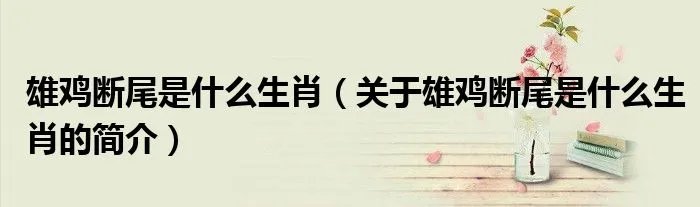雄鸡断尾是什么生肖（关于雄鸡断尾是什么生肖的简介）