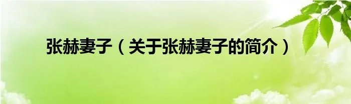 张赫妻子（关于张赫妻子的简介）