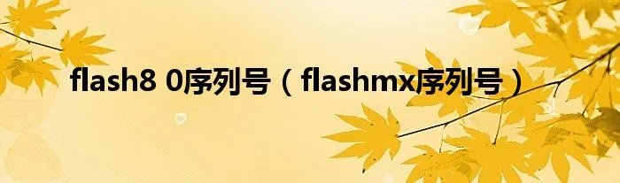 flash8 0序列号(flashmx序列号)