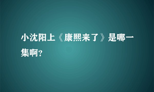 小沈阳上《康熙来了》是哪一集啊？
