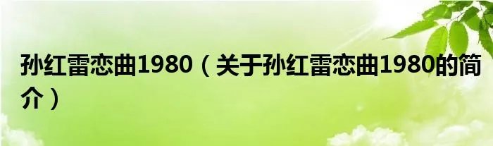 孙红雷恋曲1980（关于孙红雷恋曲1980的简介）