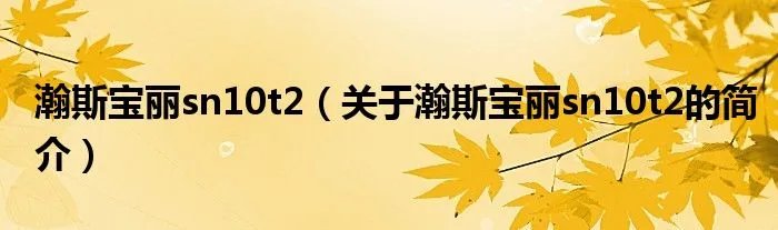 瀚斯宝丽sn10t2（关于瀚斯宝丽sn10t2的简介）