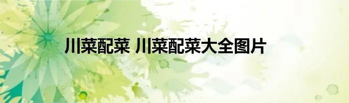 川菜配菜 川菜配菜大全图片