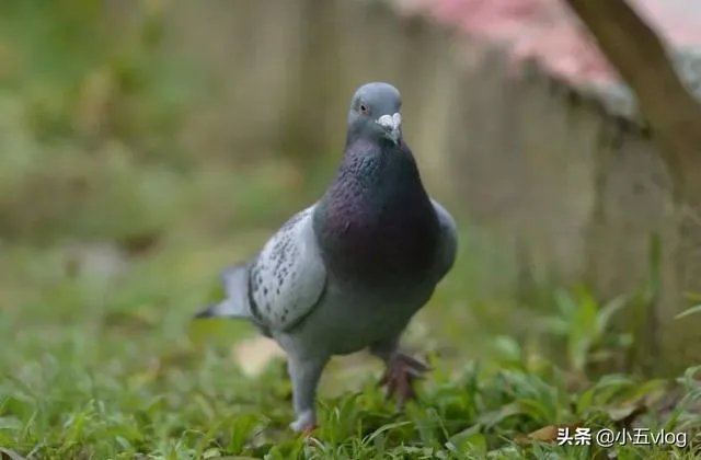 怎样做生意好?