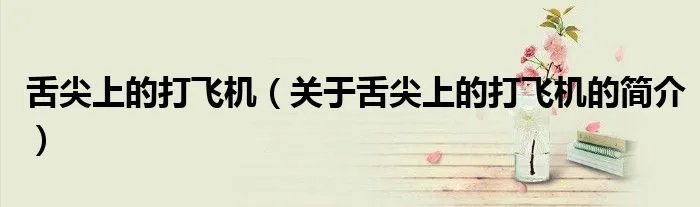 舌尖上的打飞机（关于舌尖上的打飞机的简介）