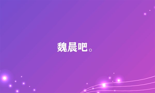 魏晨吧。