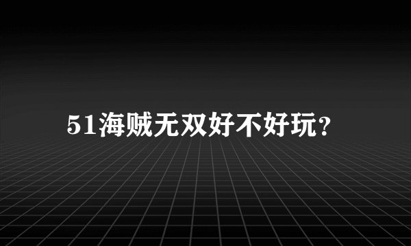 51海贼无双好不好玩？