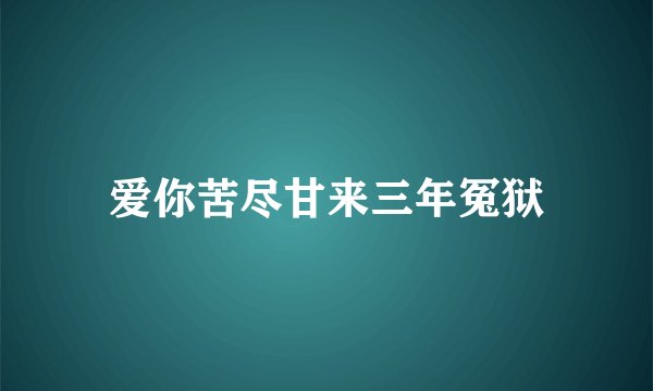 爱你苦尽甘来三年冤狱