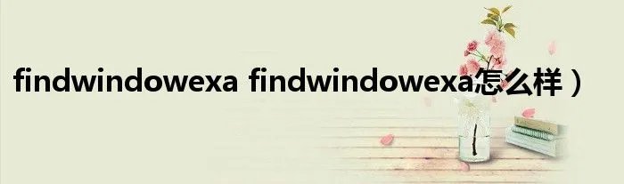 findwindowexa findwindowexa怎么样）