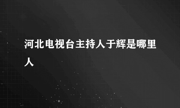 河北电视台主持人于辉是哪里人