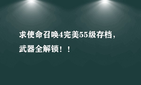 求使命召唤4完美55级存档，武器全解锁！！