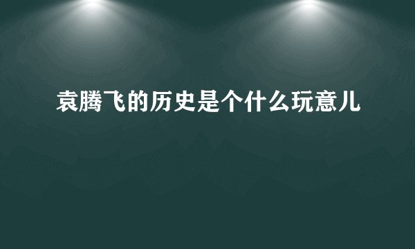 袁腾飞的历史是个什么玩意儿