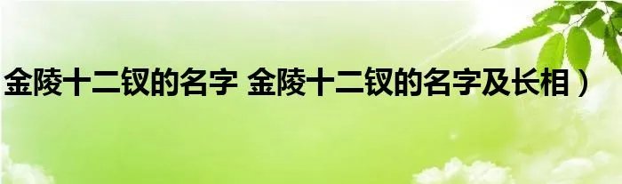 金陵十二钗的名字 金陵十二钗的名字及长相）