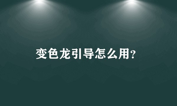 变色龙引导怎么用？