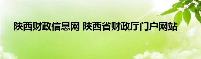 陕西财政信息网 陕西省财政厅门户网站