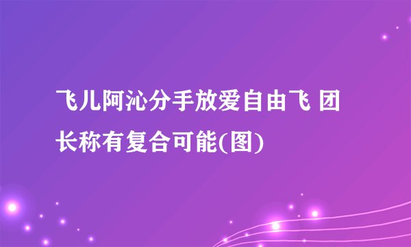 飞儿阿沁分手放爱自由飞 团长称有复合可能(图)
