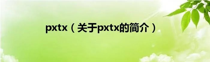pxtx（关于pxtx的简介）