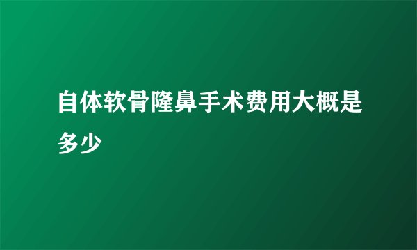 自体软骨隆鼻手术费用大概是多少