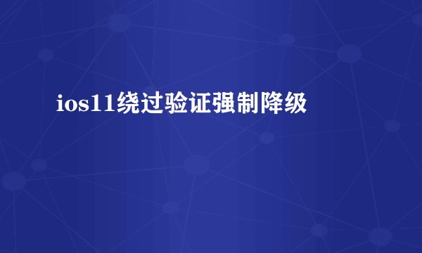 ios11绕过验证强制降级