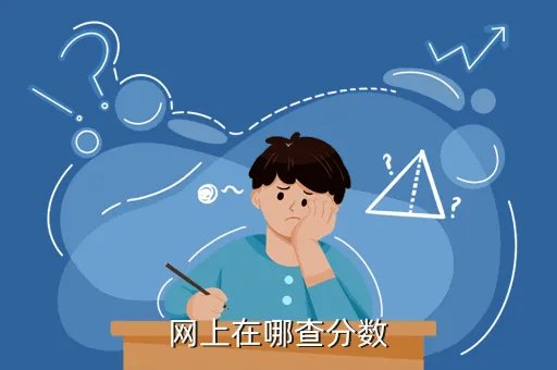 新民网查分，网上在哪查分数