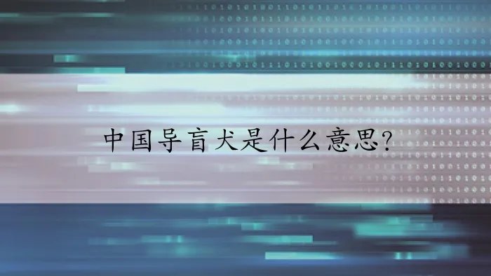 中国导盲犬是什么意思？