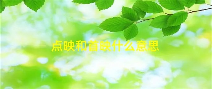点映和首映什么意思