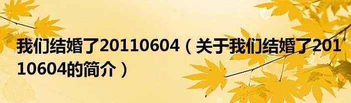 我们结婚了20110604（关于我们结婚了20110604的简介）