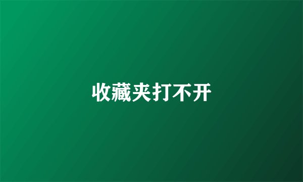 收藏夹打不开